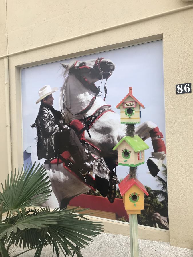 Pousada Recanto Do Cowboy Penha  Exterior foto
